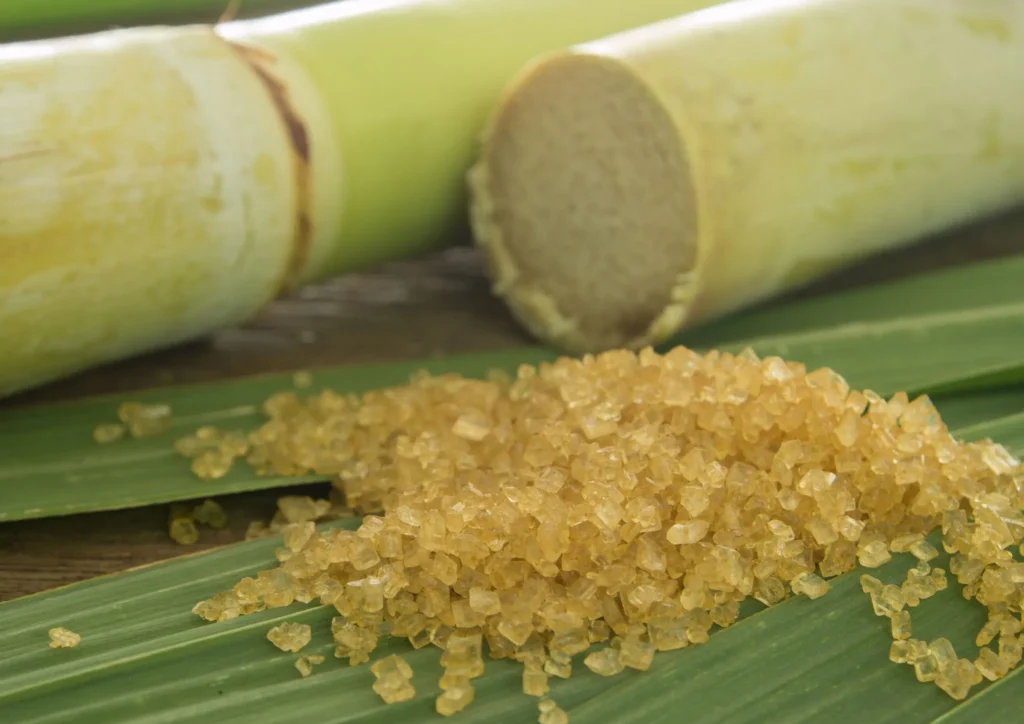 raw sugarcane and processed sugar