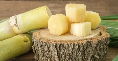 Standard Organic Liquid Cane Sugar