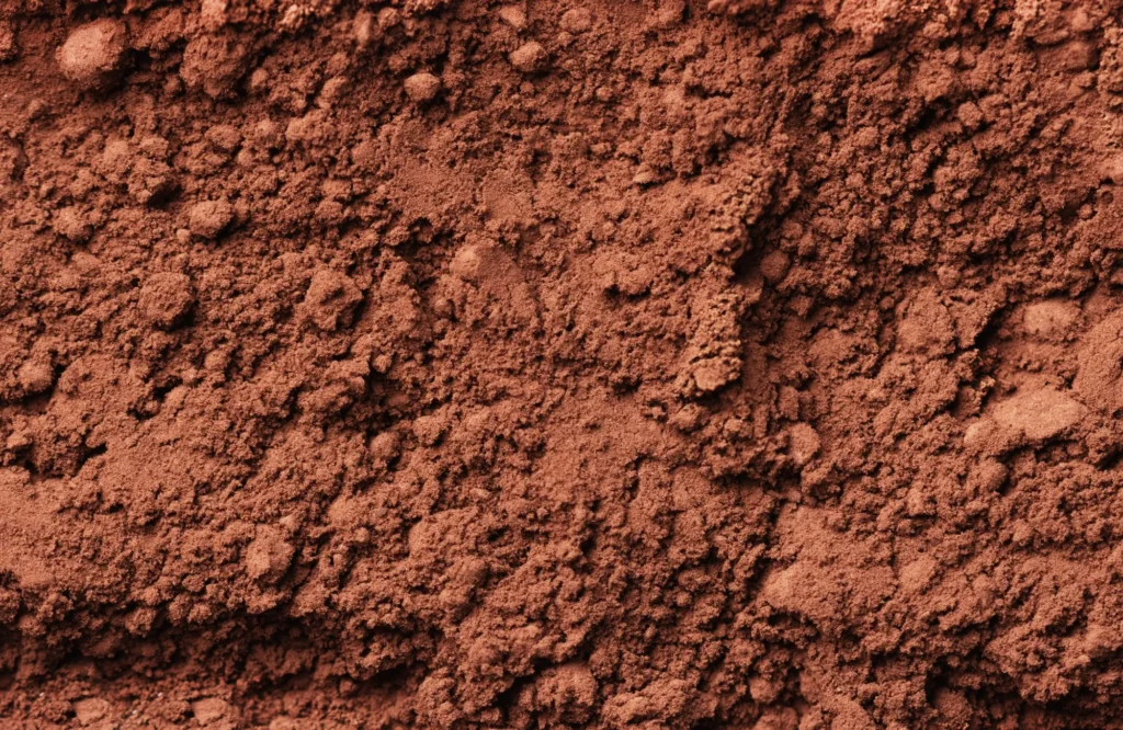 chocolate powder in the table