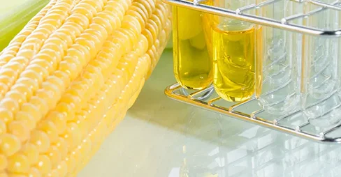 corn and corn syrup