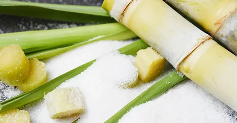 Bulk Organic Cane Sugar