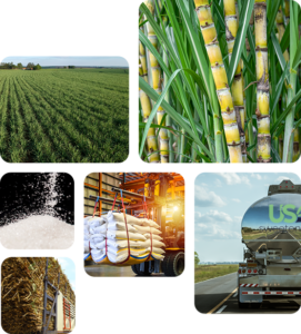 us-sweeteners-fields-plants-manufacturing-and-trucks-containing-sweeteners-and-other-base-ingredients
