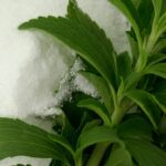 Beverages Sweetened With Stevia
