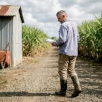 Technician walking in sugarcane field by shed