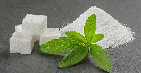 stevia leaves